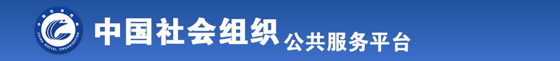 抽插日韩欧美bb全国社会组织信息查询